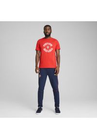 Puma - Męska koszulka Portugalia ftblNRGY PUMA Sport Red White. Kolor: czerwony, wielokolorowy, biały