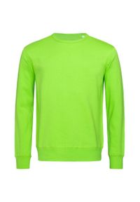 Stedman - Bluza Unisex Dla Dorosłych Select Plain. Kolor: zielony #1