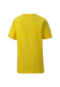 Koszulka Puma Teamgoal 23 65670907-2pack, Dzieci. Kolor: żółty. Materiał: materiał, bawełna