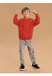 Sinsay - Jeansy cargo jogger - szary. Kolor: szary