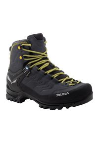 Buty wysokogórskie męskie Salewa Rapace GTX. Kolor: niebieski #1