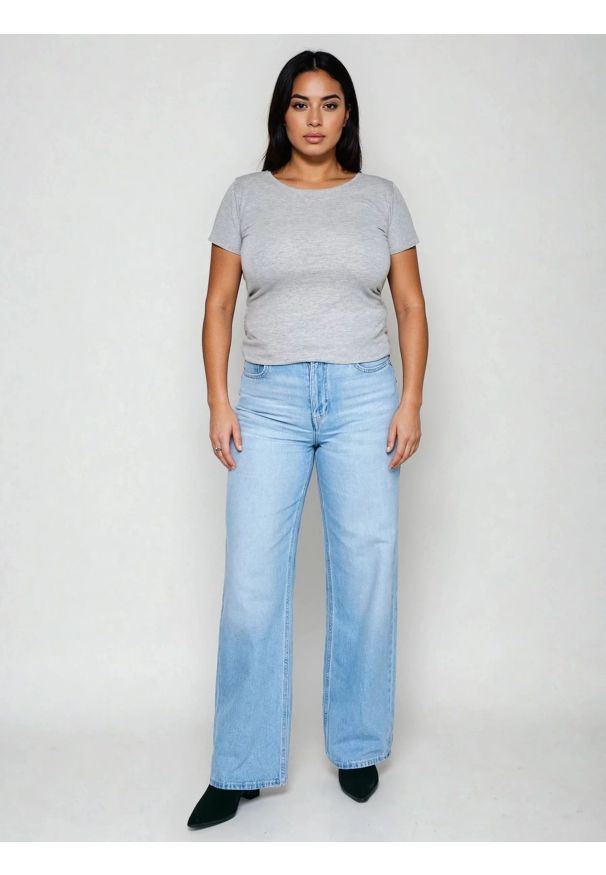 Big-Star - Koszulka damska gładka szara Classic 991. Kolor: szary. Materiał: materiał. Wzór: gładki