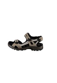 ecco - Buty do chodzenia męskie Ecco Offroad Marine. Zapięcie: rzepy. Kolor: brązowy. Materiał: materiał, skóra, syntetyk. Sport: turystyka piesza