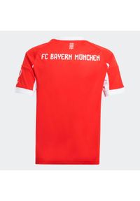 Adidas - Koszulka piłkarska dla dzieci ADIDAS Bayern Monachium 25/26 domowa. Sport: piłka nożna