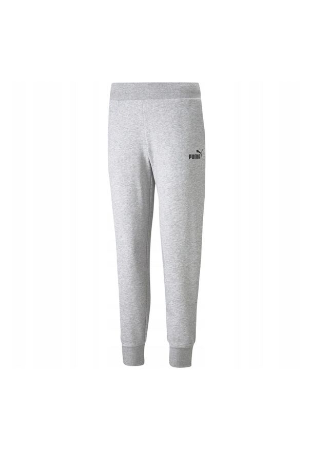 Puma - Damskie Spodnie Dresowe Essential. Kolor: szary. Materiał: dresówka. Sport: turystyka piesza