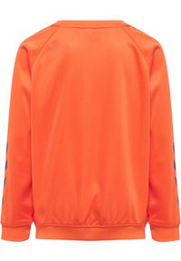 Bluza do piłki ręcznej dla dzieci Hummel Promo. Kolor: pomarańczowy. Sport: piłka ręczna