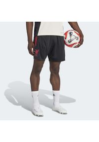 Adidas - Szorty Liverpool FC Tiro 25 Competition Training. Kolor: czarny. Sport: piłka nożna