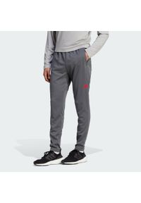 Adidas - Train Essentials Seasonal Woven Training Pants. Kolor: czerwony, wielokolorowy, szary, brązowy. Materiał: materiał