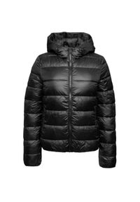 Champion - Kurtka turystyczna damska Down Jacket. Typ kołnierza: kaptur. Kolor: czarny. Materiał: poliamid #1