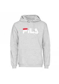 Bluza sportowa męska Fila Barumini Hoody. Typ kołnierza: kaptur. Kolor: wielokolorowy, szary