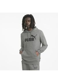 Bluza treningowa męska Puma Ess Big Logo Hoodie. Typ kołnierza: kaptur. Kolor: wielokolorowy, czarny, szary #2