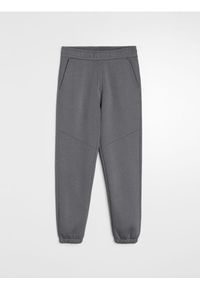 Sinsay - Spodnie dresowe regular fit - szary. Kolor: szary. Materiał: dresówka