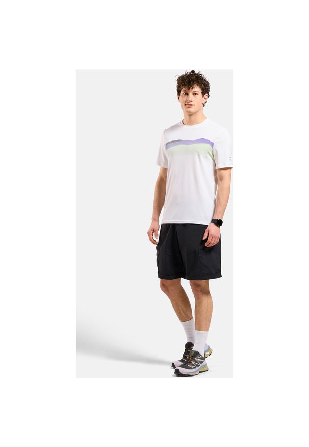 Koszulka męska z krótkim rękawem Odlo F-DRY RIDGELINE T-shirt. Kolor: biały. Długość rękawa: krótki rękaw. Długość: krótkie. Sport: turystyka piesza