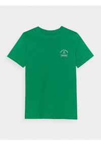 4f - T-shirt regular z nadrukiem damski - zielony. Okazja: na co dzień. Kolor: zielony. Materiał: dzianina, jersey, bawełna. Długość rękawa: krótki rękaw. Długość: krótkie. Wzór: nadruk. Sezon: lato. Styl: sportowy, casual, klasyczny