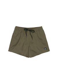 Quiksilver - Szorty kąpielowe dla Mężczyzn EVERYDAY SOLID VOLLEY 15" Brązowy. Kolor: zielony. Materiał: poliester, tkanina. Styl: sportowy #1