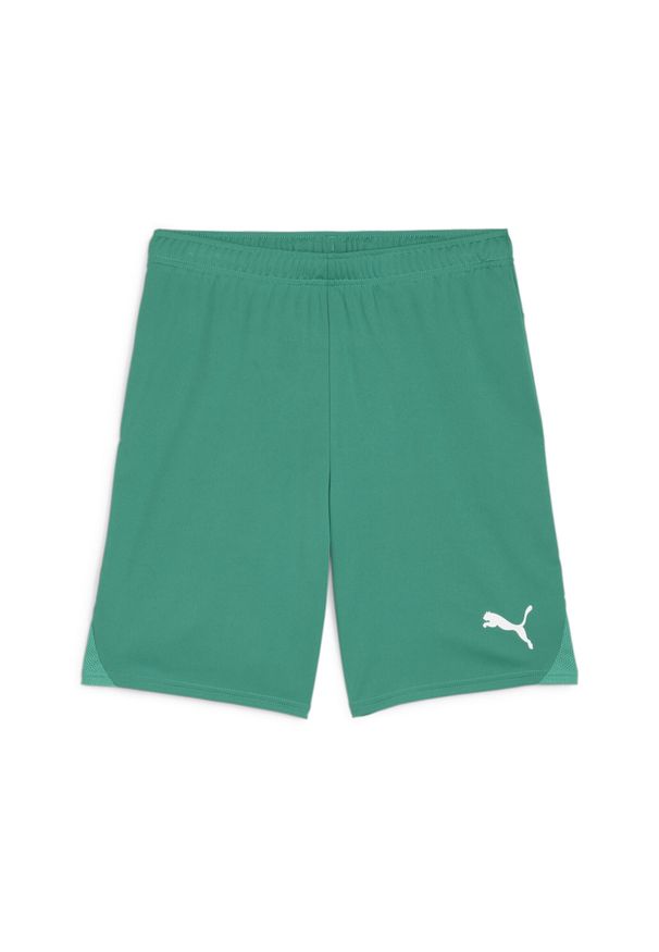 Szorty Puma TeamGoal. Kolor: biały, wielokolorowy, zielony. Sport: piłka nożna