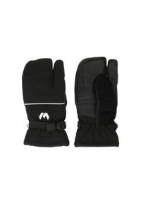 Rękawiczki damskie Whistler Allegro 3. Kolor: czarny. Sezon: zima. Sport: narciarstwo #1