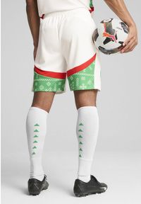 Puma - Szorty Maroc CAN 2025. Kolor: biały, zielony, czerwony, wielokolorowy. Sport: piłka nożna