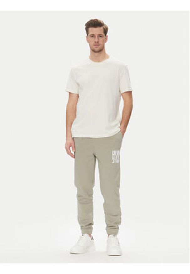 Calvin Klein Jeans Spodnie dresowe Painted J30J327535 Zielony Regular Fit. Kolor: zielony. Materiał: bawełna