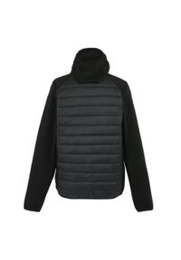 Regatta - Męska Pikowana Kurtka Hybrydowa Newhill. Kolor: czarny. Materiał: puch. Sport: turystyka piesza #2