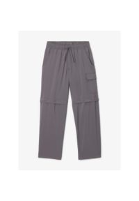 columbia - Spodnie trekkingowe chłopięce Columbia Silver Ridge Utility Convertible Pant. Kolor: szary