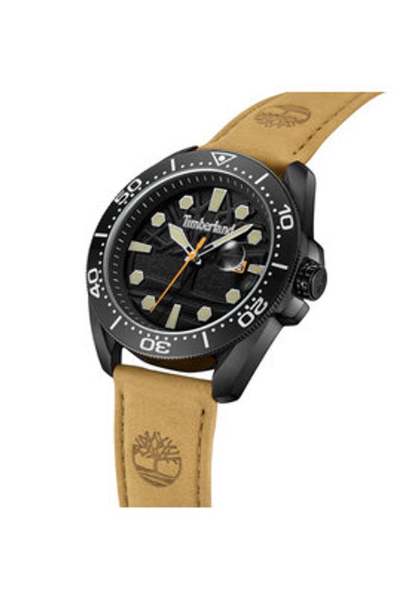 Timberland Zegarek Carringan TBL.TDWGB2230601 Czarny. Kolor: czarny