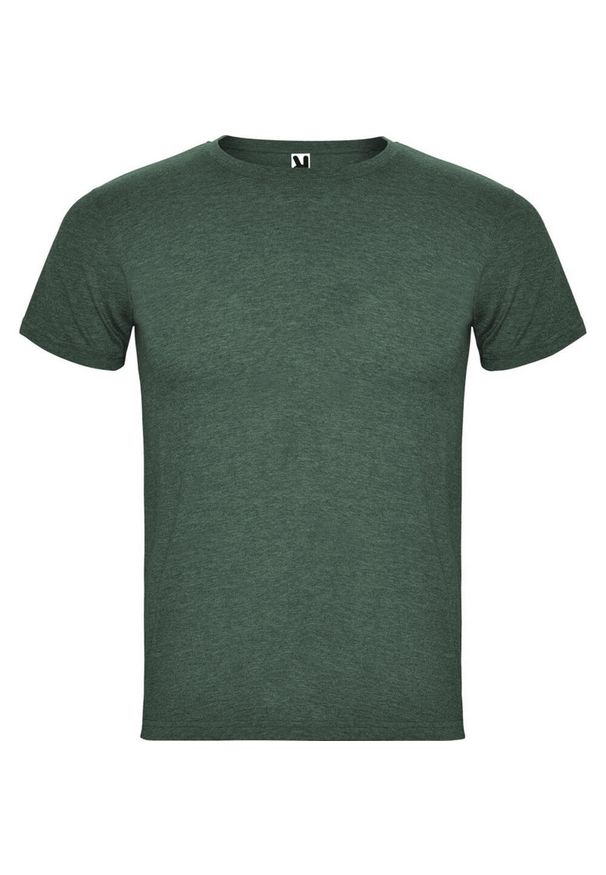 ROLY - Męska Koszulka Z Krótkim Rękawem Fox Heather. Kolor: zielony. Długość rękawa: krótki rękaw. Długość: krótkie. Sport: turystyka piesza