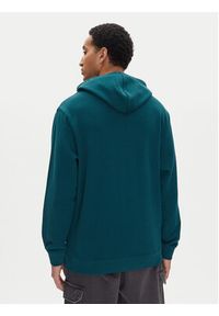 DC Shoes Bluza ADYSF03099 Zielony Relaxed Fit. Kolor: zielony. Materiał: bawełna