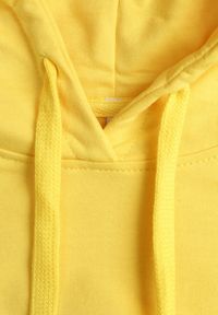 Renee - Żółta Bluza z Kapturem i Bawełną Ozdobiona Ściągaczami Evianae. Okazja: na spacer, na co dzień. Typ kołnierza: kaptur. Kolor: żółty. Materiał: bawełna. Długość rękawa: długi rękaw. Długość: długie. Wzór: aplikacja. Styl: casual #5