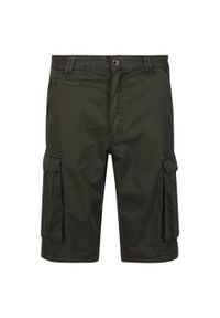 Regatta - Męskie Szorty Shorebay. Kolor: zielony. Sport: turystyka piesza #1