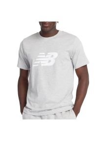 Koszulka męska New Balance MT43906AG - szara. Kolor: szary. Materiał: bawełna. Długość rękawa: krótki rękaw. Długość: krótkie #1