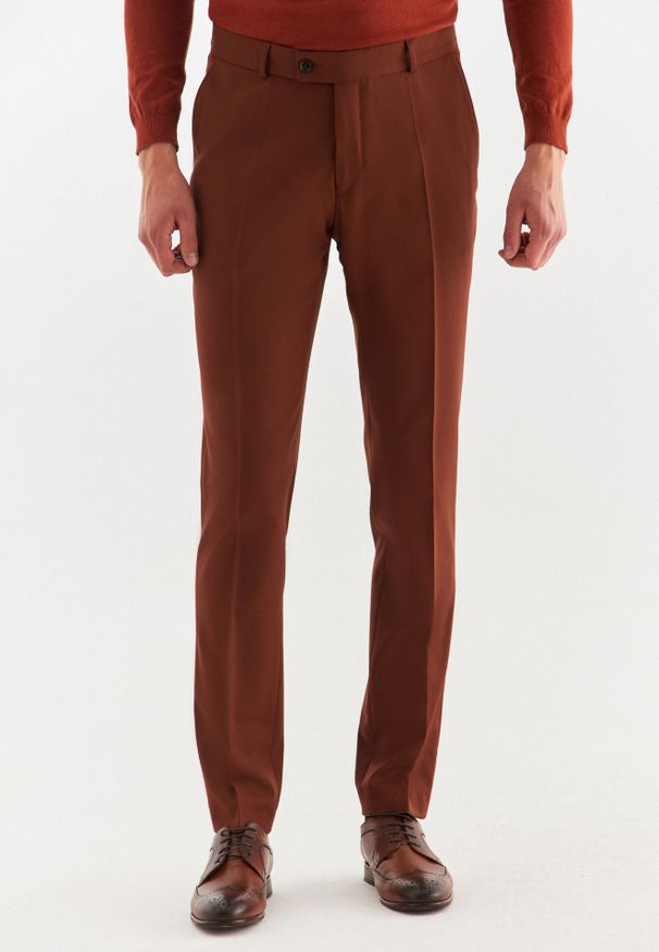 Pako Lorente - Rude gładkie spodnie garniturowe P22WP-6G-028-A-S. Kolor: brązowy. Materiał: wełna, elastan. Wzór: gładki