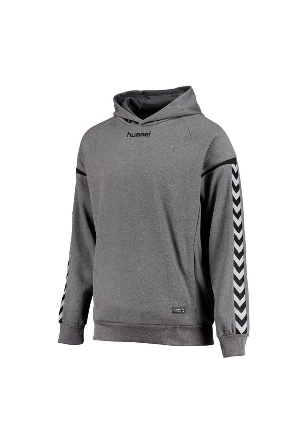 Dziecięca bluza z kapturem Hummel auth charge poly. Typ kołnierza: kaptur. Kolor: szary, niebieski, wielokolorowy