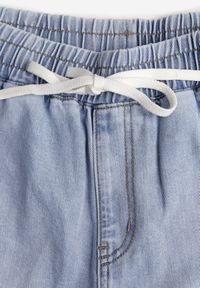 Born2be - Niebieskie Jeansy z Lyocellem i Bawełną o Szerokim Kroju z Wiązaniem Zolia. Okazja: na co dzień. Kolor: niebieski. Styl: casual #8