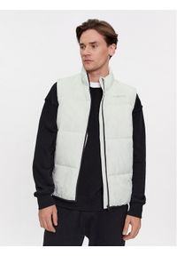 Kappa Bezrękawnik Emanu 361F8RW Zielony Regular Fit. Kolor: zielony. Materiał: syntetyk. Długość rękawa: bez rękawów