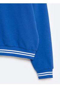 Big-Star - Bluza dziewcęca z logo BIG STAR niebieska Benara 406. Kolor: niebieski. Materiał: bawełna. Wzór: aplikacja, haft #3