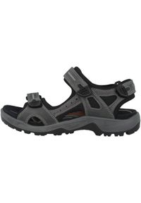 ecco - Buty do chodzenia męskie Ecco Offroad Marine. Zapięcie: rzepy. Kolor: szary. Materiał: materiał, syntetyk. Sport: turystyka piesza
