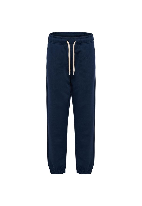 Spodnie dziecięce Hummel Bee. Kolor: niebieski