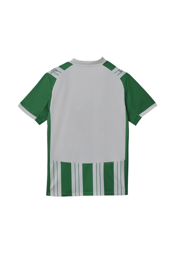 Puma - Męska koszulka domowa SK Rapid Wiedeń 25/26 PUMA White Sport Green. Kolor: zielony, biały, wielokolorowy. Wzór: paski. Sport: piłka nożna