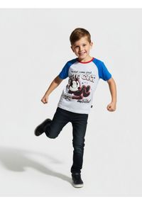 Sinsay - Koszulka Kot Feliks - niebieski. Kolor: niebieski. Długość rękawa: krótki rękaw. Długość: krótkie #1