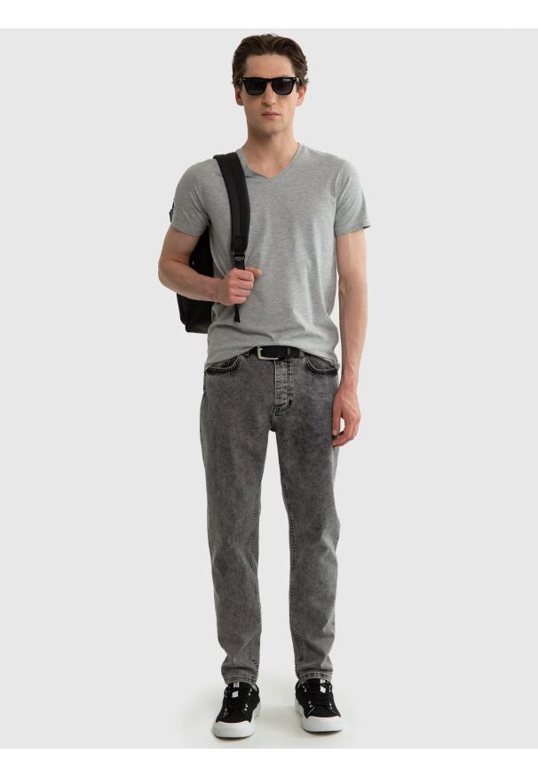 Big-Star - Koszulka męska v-neck z bawełny supima szara Supiclassicov 901. Kolor: szary. Materiał: bawełna. Długość: długie