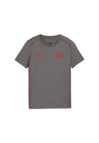 Puma - Młodzieżowa koszulka Casuals FC St. Pauli PUMA Flat Medium Gray Red. Kolor: czerwony, wielokolorowy, szary