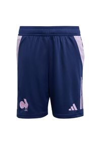 Adidas - Szorty France Gym Kids. Kolor: niebieski. Sport: piłka nożna