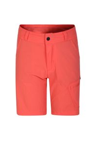 DARE 2B - Shorty Dziecięce Reprise II. Kolor: żółty, pomarańczowy, wielokolorowy. Styl: sportowy. Sport: turystyka piesza #1