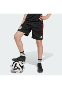 Adidas - Szorty Ajax Amsterdam Tiro 25 Competition Training Kids. Kolor: czerwony, biały, wielokolorowy, czarny. Sport: piłka nożna