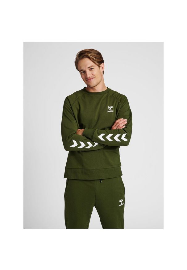 Bluza Hummel Isam 2.0. Kolor: zielony. Sport: piłka ręczna