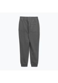 PITBULL - Spodnie męskie Pitbull Lancaster 2 Track Pants. Kolor: szary