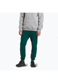 Reebok Fitness - Spodnie męskie Reebok Identity Small Logo Fleece Jogger. Kolor: zielony. Sport: fitness #1