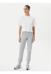 Champion Spodnie dresowe 118101 Szary Slim Fit. Kolor: szary. Materiał: bawełna