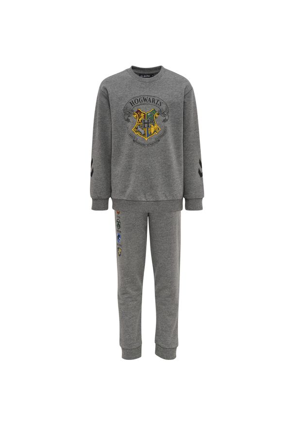 Dziecięcy dres Hummel Harry Potter Spring. Kolor: szary. Materiał: dresówka